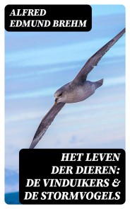 Het Leven der Dieren: De Vinduikers & De Stormvogels
