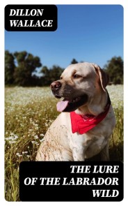 The Lure of the Labrador Wild