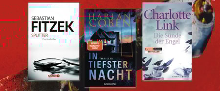 Neueste Thriller-Bücher