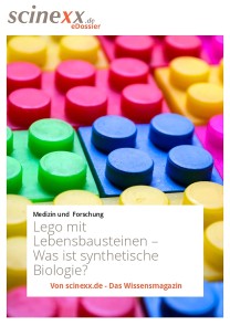 Lego mit Lebensbausteinen