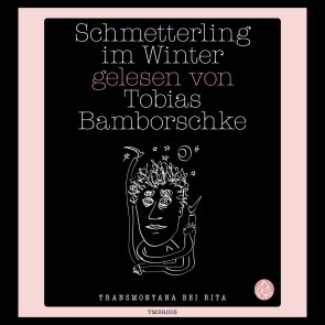 Schmetterling im Winter