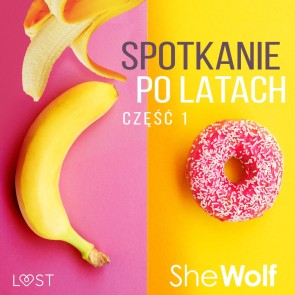 Spotkanie po latach 1 - opowiadanie erotyczne