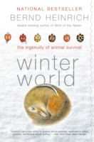 Winter World