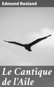Le Cantique de l'Aile