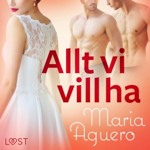 Allt vi vill ha - erotisk novell