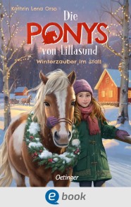 Die Ponys von Lillasund 3. Winterzauber im Stall