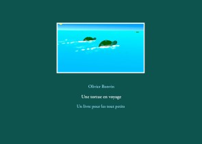 Une tortue en voyage