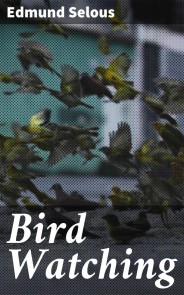 Bird Watching