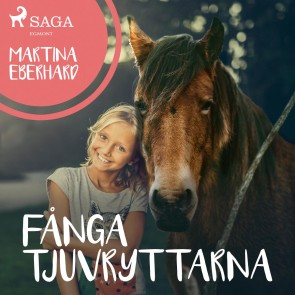Fånga tjuvryttarna