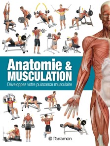 Anatomie & Musculation