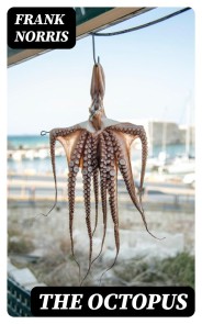 The Octopus