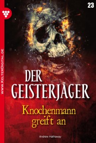 Der Geisterjäger 23 - Gruselroman