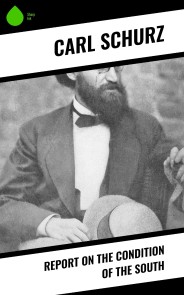 Report on the Condition of the South