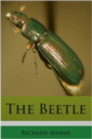 Beetle