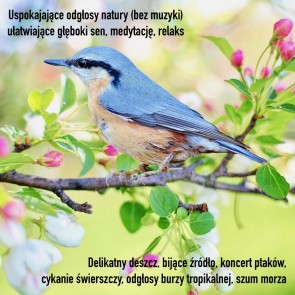Uspokajajace odglosy natury (bez muzyki) ulatwiajace gleboki sen, medytacje, relaks