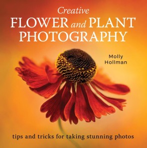Creative Flower and Plant Photography