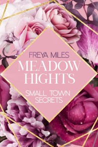 Meadow Hights: Small Town Secrets
