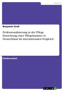 Professionalisierung in der Pflege. Einrichtung einer Pflegekammer in Deutschland im internationalen Vergleich