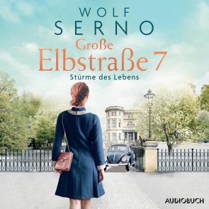 Große Elbstraße 7 (Band 3) - Stürme des Lebens