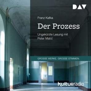 Der Prozess