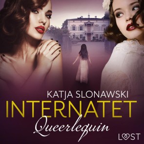 Queerlequin: Internatet