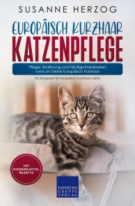 Europäisch Kurzhaar Katzenpflege - Pflege, Ernährung und häufige Krankheiten rund um Deine Europäisch Kurzhaar