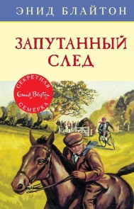 Secret Seven Mystery