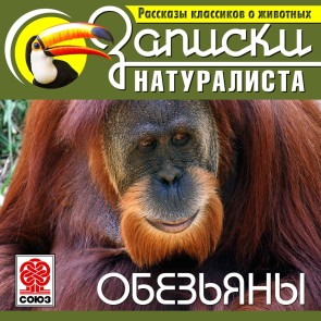 Obezyany