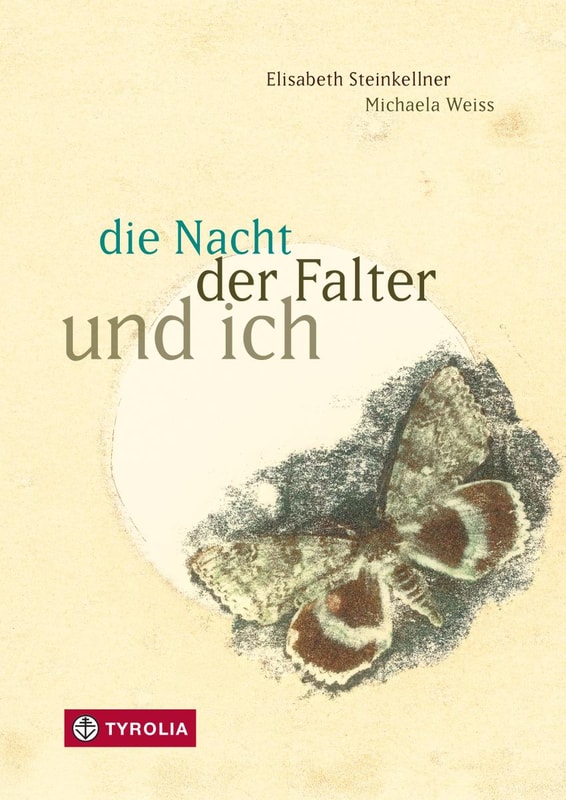 die Nacht, der Falter und ich