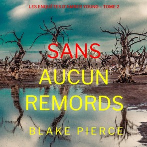 Sans aucun remords (Les enquêtes d'Amber Young - Tome 2)