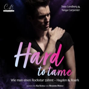 Hard to tame - Wie man einen Rockstar zähmt