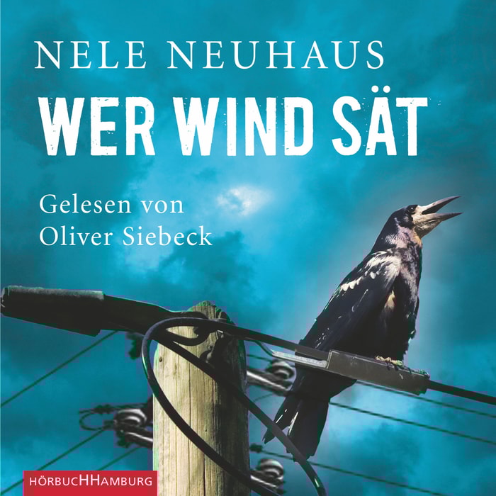 Wer Wind sät