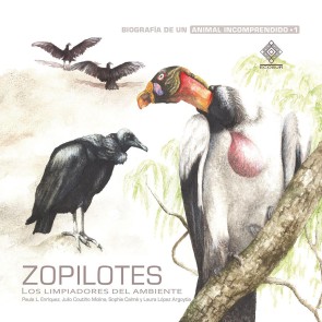 Zopilotes, los limpiadores del ambiente