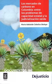 Los mercados de carbono: retos de la capacidad institucional y judicialización de los conflictos socioambientales en Colombia