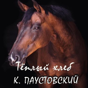 Teplyiy hleb