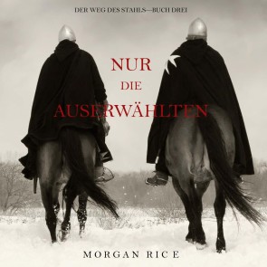 Schicksal (Der Weg des Stahls-Buch Drei)