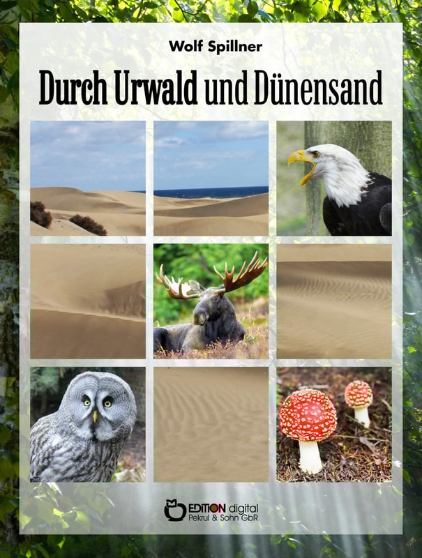 Durch Urwald und Dünensand