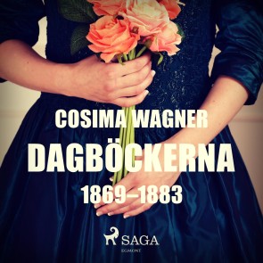 Dagböckerna 1869-1883