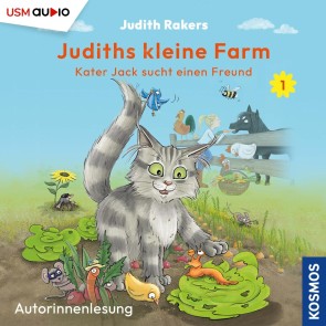 Kater Jack sucht einen Freund