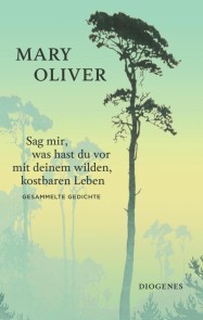Sag mir, was hast du vor mit deinem wilden, kostbaren Leben