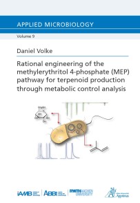 Rational engineering of the methylerythritol 4-phosphate (MEP)