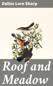 Roof and Meadow