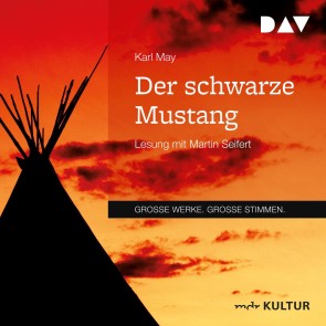 Der schwarze Mustang