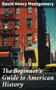 The Beginner's Guide to American History