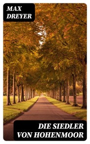 Die Siedler von Hohenmoor