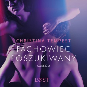 Fachowiec poszukiwany część 2 - opowiadanie erotyczne