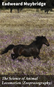 The Science of Animal Locomotion (Zoopraxography)