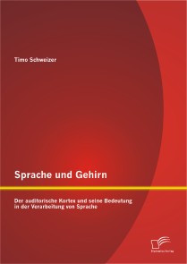 Sprache und Gehirn: Der auditorische Kortex und seine Bedeutung in der Verarbeitung von Sprache