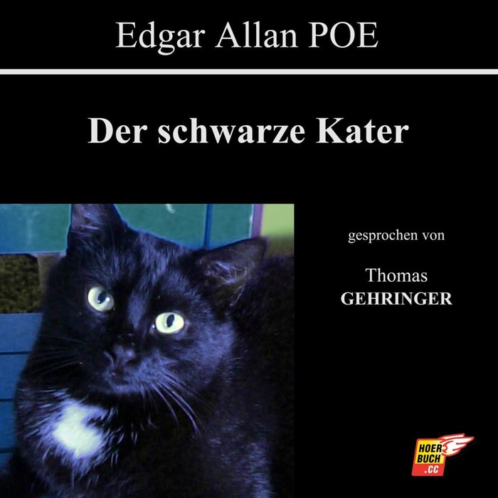 Der schwarze Kater