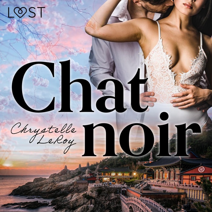 Chat noir - Une nouvelle érotique